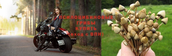 а пвп мука Богданович