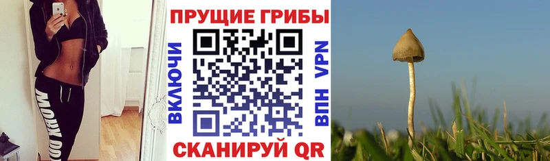 MEGA рабочий сайт  Бежецк  Галлюциногенные грибы мухоморы 